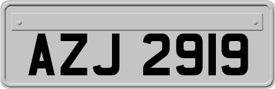 AZJ2919