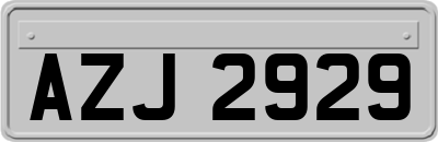 AZJ2929