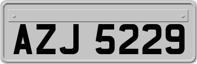 AZJ5229