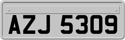 AZJ5309