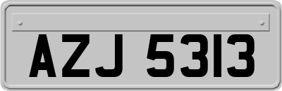 AZJ5313
