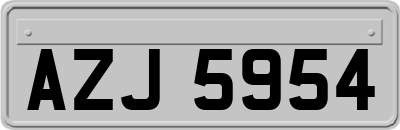 AZJ5954