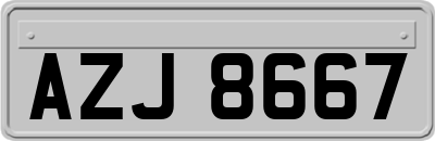 AZJ8667