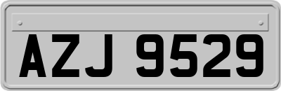AZJ9529