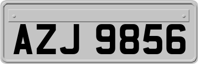 AZJ9856