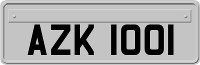AZK1001