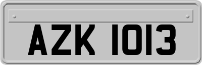 AZK1013