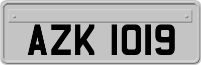 AZK1019
