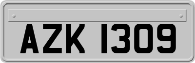 AZK1309