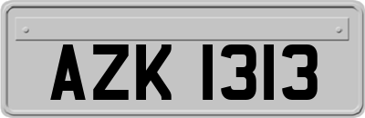 AZK1313