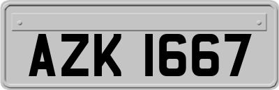 AZK1667