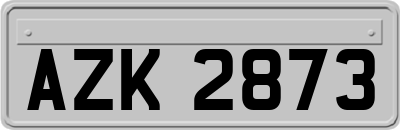 AZK2873