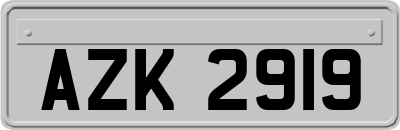 AZK2919