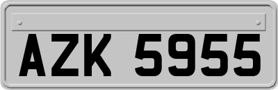 AZK5955