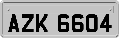 AZK6604