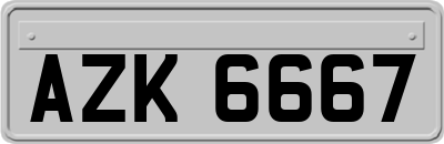 AZK6667