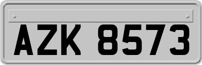 AZK8573