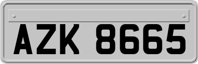 AZK8665