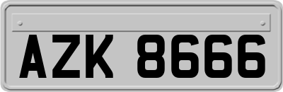 AZK8666