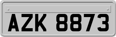 AZK8873
