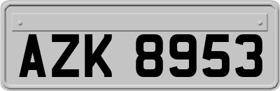AZK8953