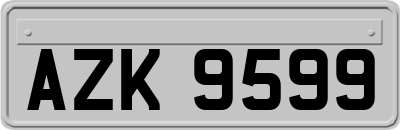 AZK9599