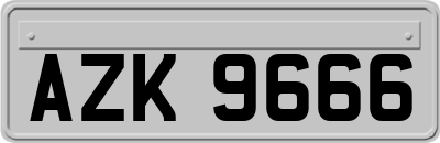 AZK9666
