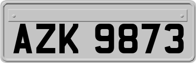 AZK9873