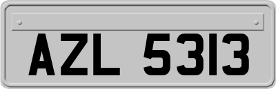 AZL5313