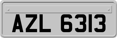 AZL6313