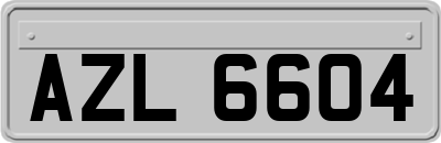 AZL6604