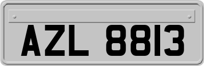 AZL8813