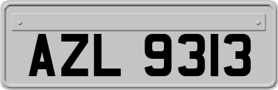 AZL9313