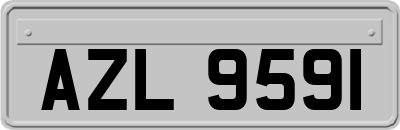 AZL9591