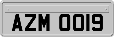 AZM0019