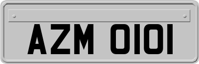 AZM0101