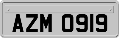 AZM0919