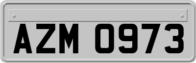 AZM0973