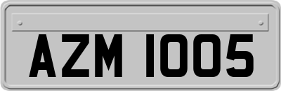 AZM1005