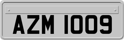 AZM1009