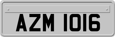 AZM1016