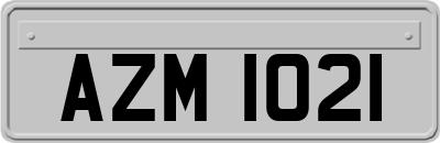 AZM1021