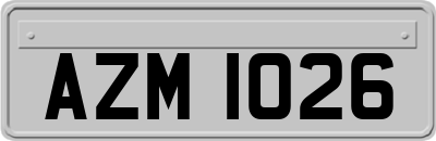 AZM1026
