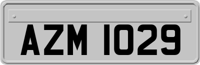 AZM1029