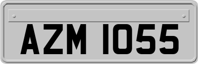 AZM1055