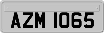 AZM1065