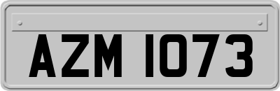 AZM1073
