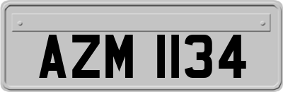 AZM1134