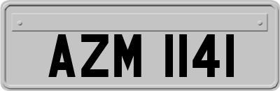 AZM1141