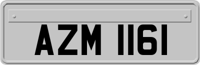 AZM1161